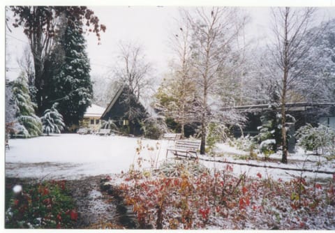 Facade/entrance, Winter, Skiing