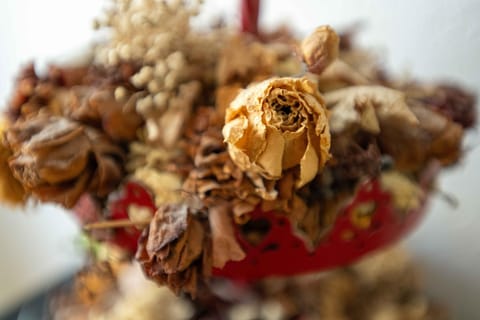 LUVI - Courmayeur Apartment in Courmayeur