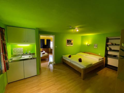 Kitchen or kitchenette, Bedroom