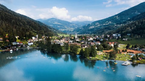 Neighbourhood, Natural landscape, Bird's eye view