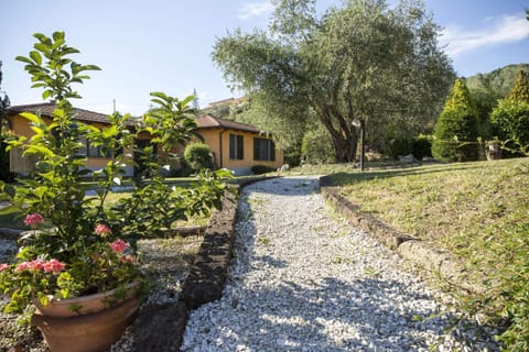 Property building, Garden