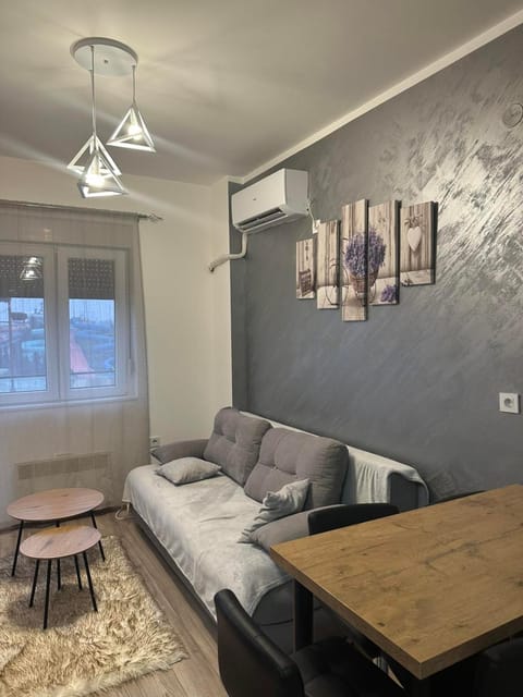 apartmanjagodinaana Apartment in Serbia