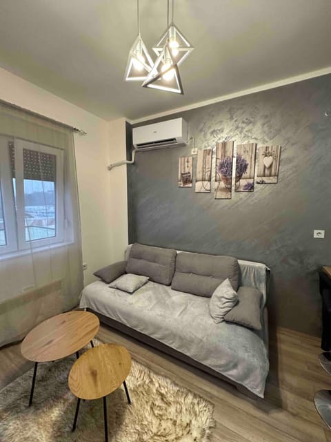 apartmanjagodinaana Apartment in Serbia