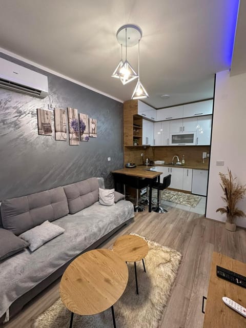 apartmanjagodinaana Apartment in Serbia