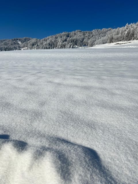 Natural landscape, Winter