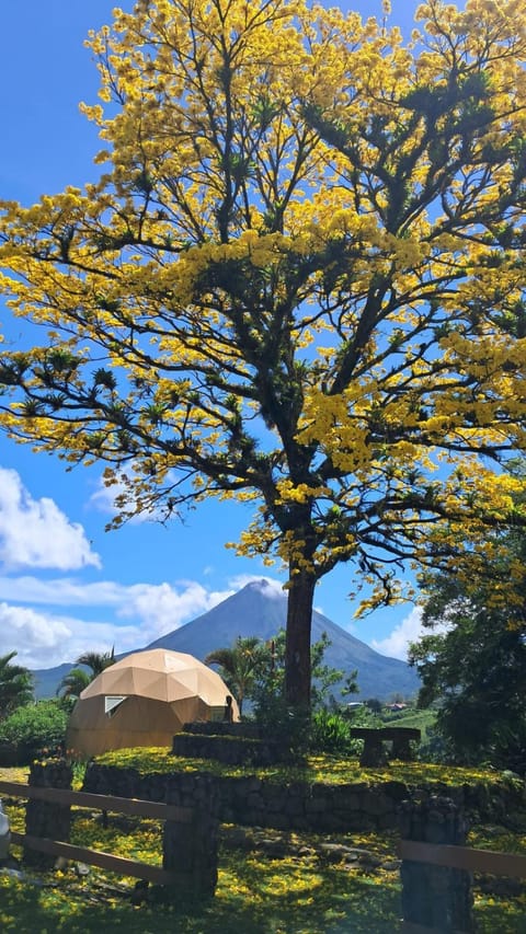 Nearby landmark, Garden view