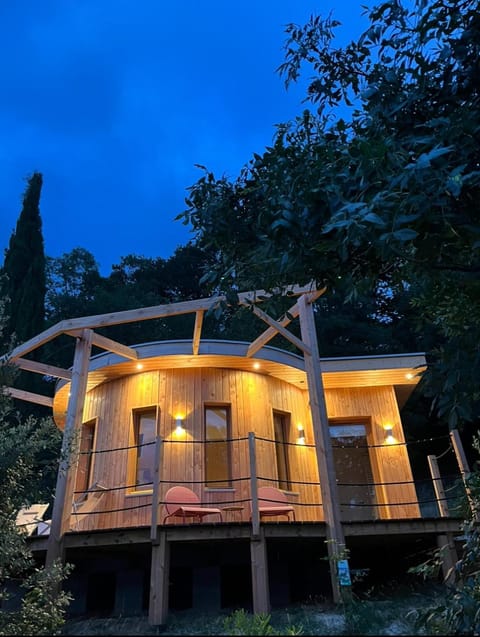 Property building, Night, Garden