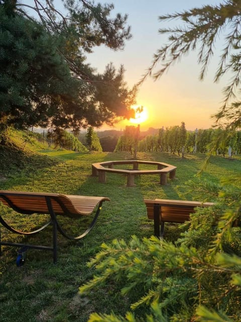Natural landscape, Garden, Garden view, Sunset