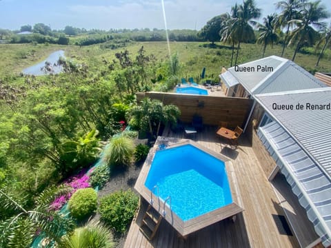 Garden, Swimming pool