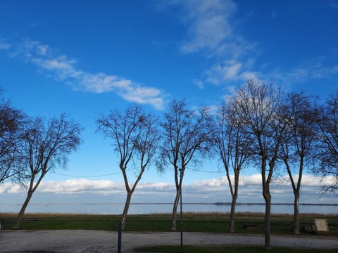 Natural landscape