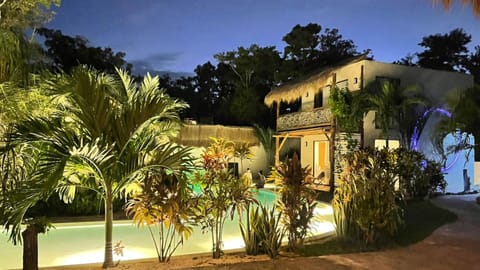 Night, Garden, Garden view