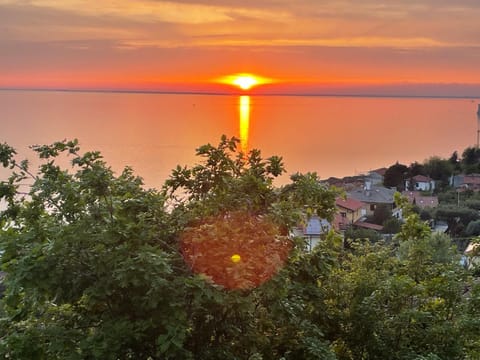 Trieste Sea Life Bed and Breakfast in Trieste