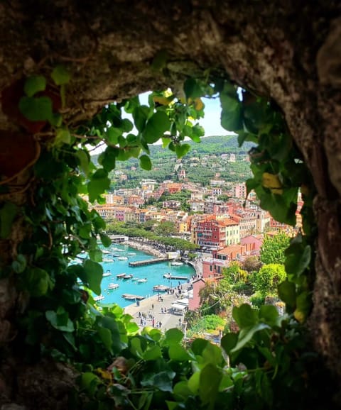 Rifugio sul mare Apartment in Lerici