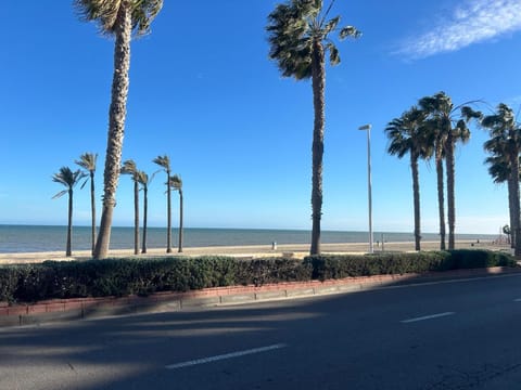 Restaurant/places to eat, Beach, Supermarket/grocery shop, Shopping Area