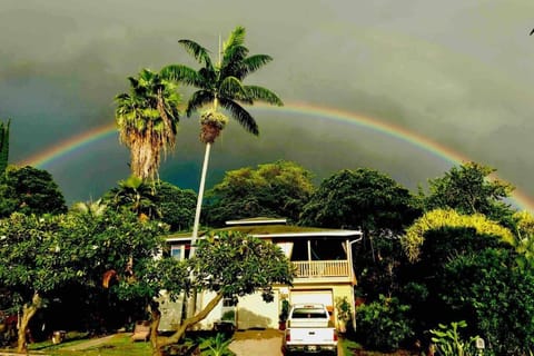 Property building, Garden view