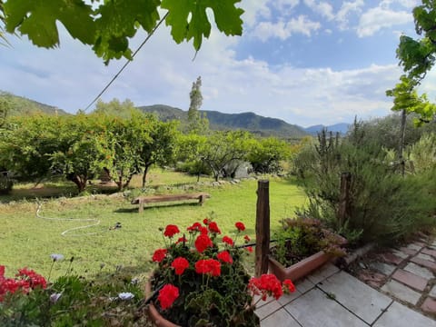 Garden, Mountain view