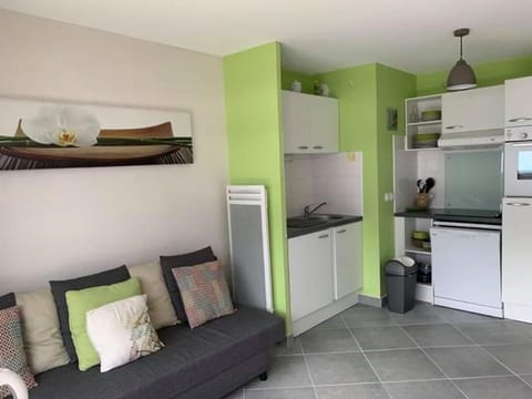 Appartement T2 à Fort-Mahon-Plage, vue mer, parking privé - FR-1-482-130 Apartment in Fort-Mahon-Plage