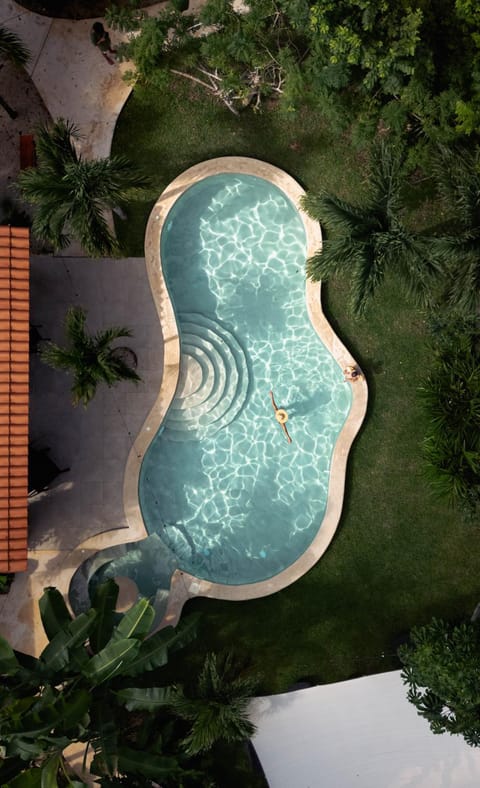 Day, Natural landscape, Garden view, Pool view, Swimming pool