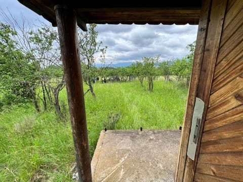 Spring, Day, Natural landscape