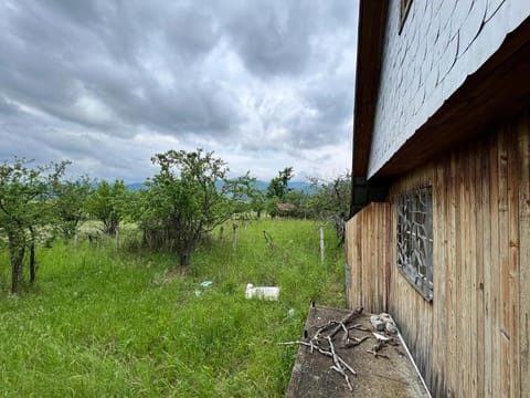 Spring, Day, Natural landscape