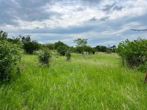 Spring, Day, Natural landscape