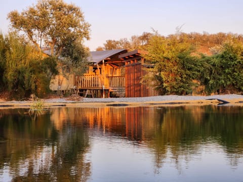 Lake view