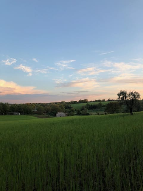 Natural landscape