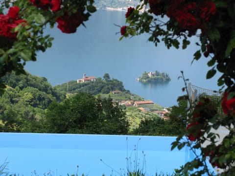 Natural landscape, Lake view