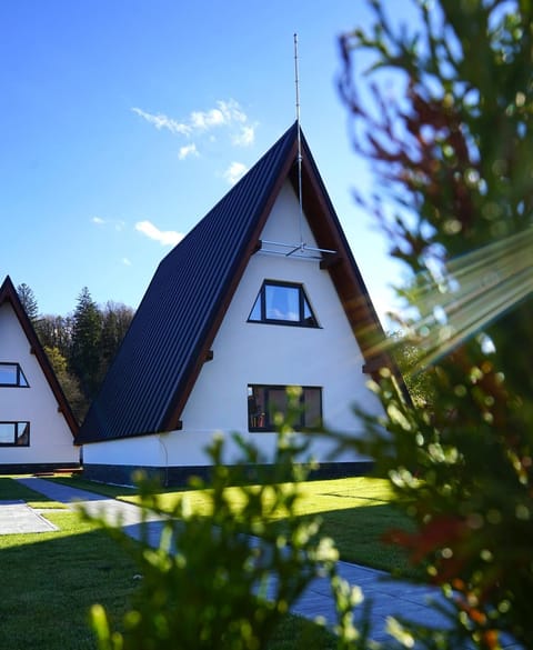 Property building, Garden view