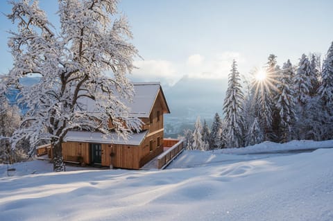 Property building, Winter
