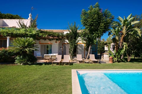Garden, Garden view, Pool view, Swimming pool, sunbed