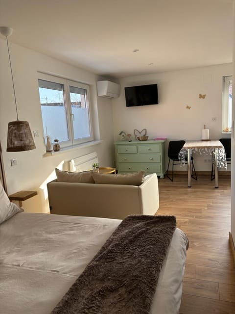 Les petites plumes d’Hag Apartment in Haguenau