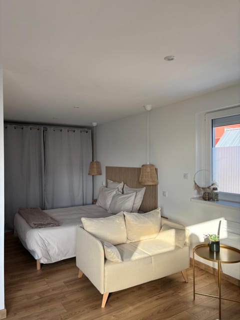 Les petites plumes d’Hag Apartment in Haguenau