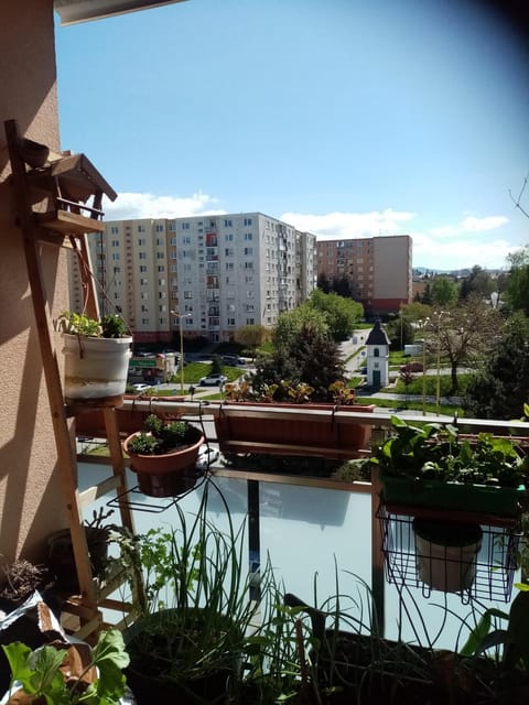 Balcony/Terrace, City view