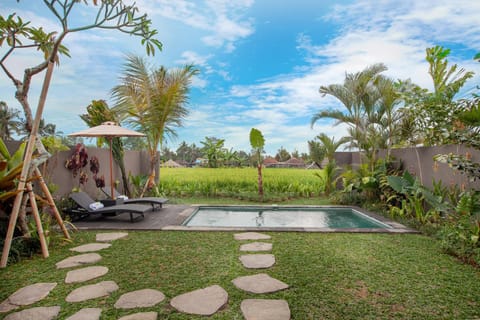Natural landscape, Pool view