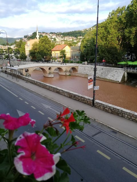 City view, Street view