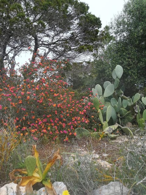 Natural landscape