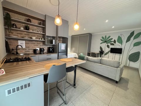 Kitchen or kitchenette, Living room, Seating area, Dining area, stove