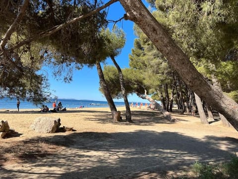 Très bel appartement centre-ville pour 4 personnes Apartment in La Londe-les-Maures