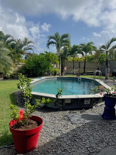 Garden, Garden view, Pool view, Swimming pool, sunbed