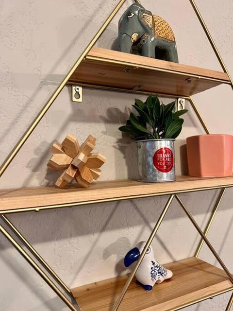 Mid Century Modern Montana Dream Home Apartment in Butte