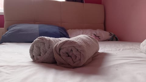 Iris House Vacation rental in Belfast