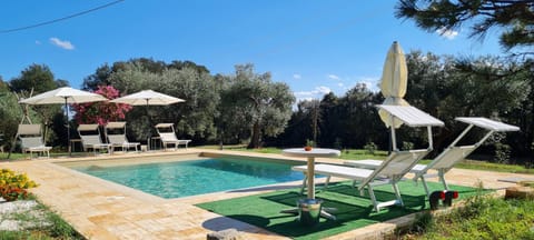 Garden view, Swimming pool, sunbed