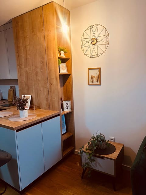 Ski INN apartment Jahorina Apartment in Federation of Bosnia and Herzegovina