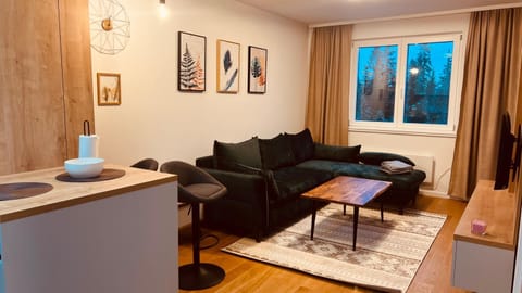 Ski INN apartment Jahorina Apartment in Federation of Bosnia and Herzegovina