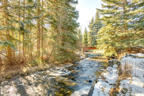 Charming Idaho Springs Retreat on Chicago Creek! House in Idaho Springs