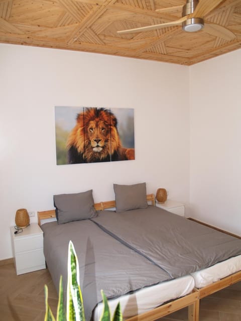 Bed, Photo of the whole room, Bedroom, fireplace
