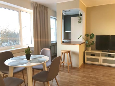 TV and multimedia, Kitchen or kitchenette, Living room, Seating area, Dining area, Evening entertainment, kitchen