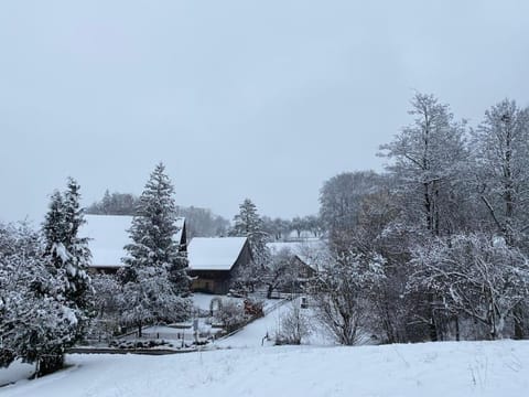 Baudenkmal Mühle Schalchen Apartment in Canton of Zurich