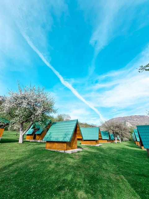 Rafting Camp Tara 87 Campground/
RV Resort in Montenegro